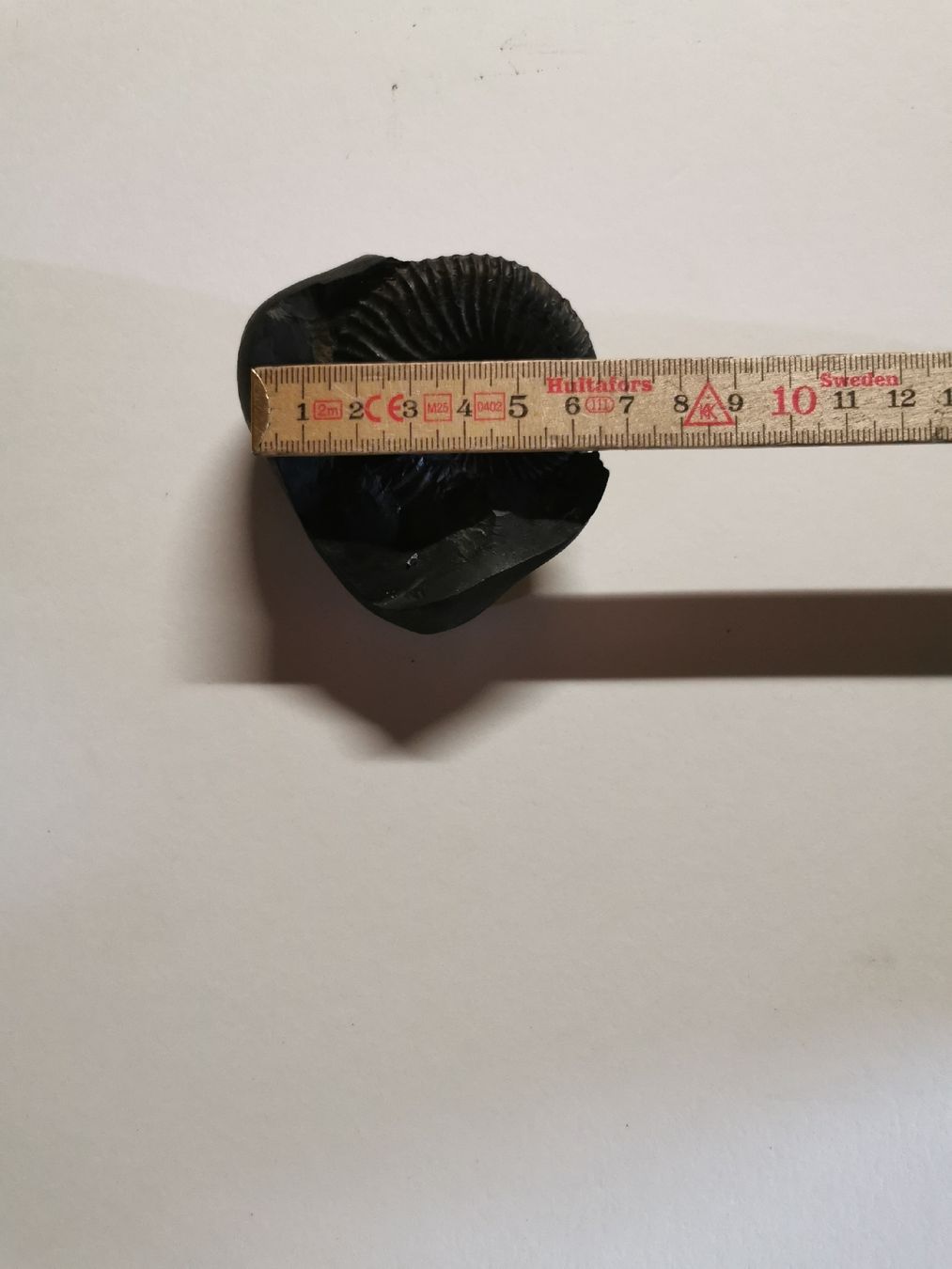 Fossilien: Fossile  noire environ 6 cm. – Gebraucht aus Bulle von pmcavalheiro 1