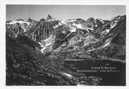 Grand St. Bernard G