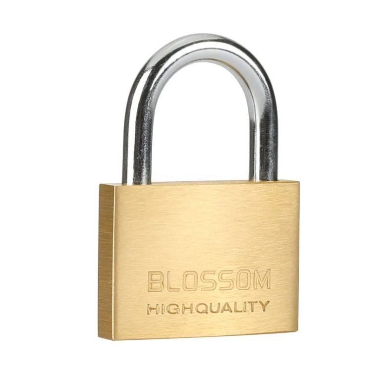 Lucchetti: Cadenas 50MM – Usato da Renens VD venduto da Accessoryworldch
