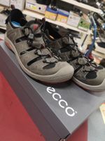 Ecco