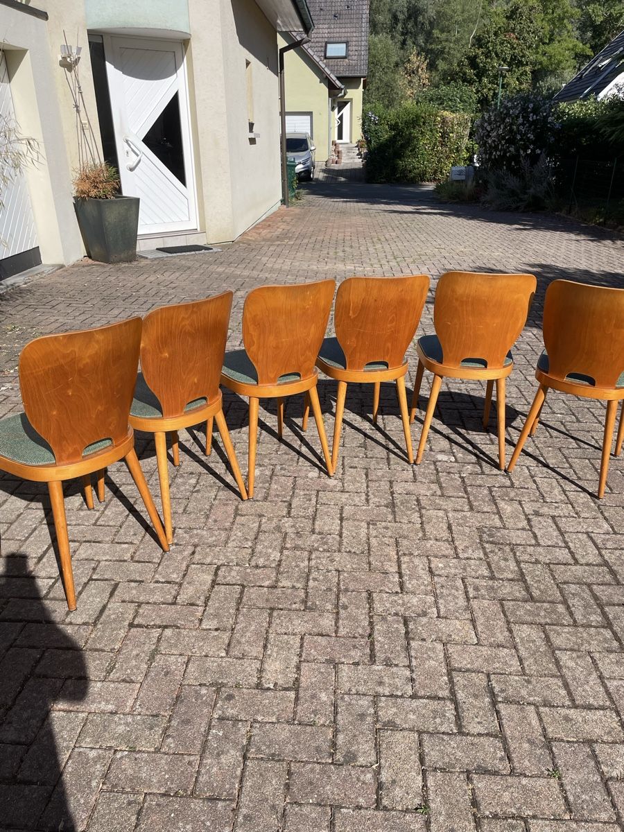 Horgen Glarus Sedie: Max Bill Horgenglarus Stuhl – Usato da Basel venduto da RAMSESSOLEIL 3