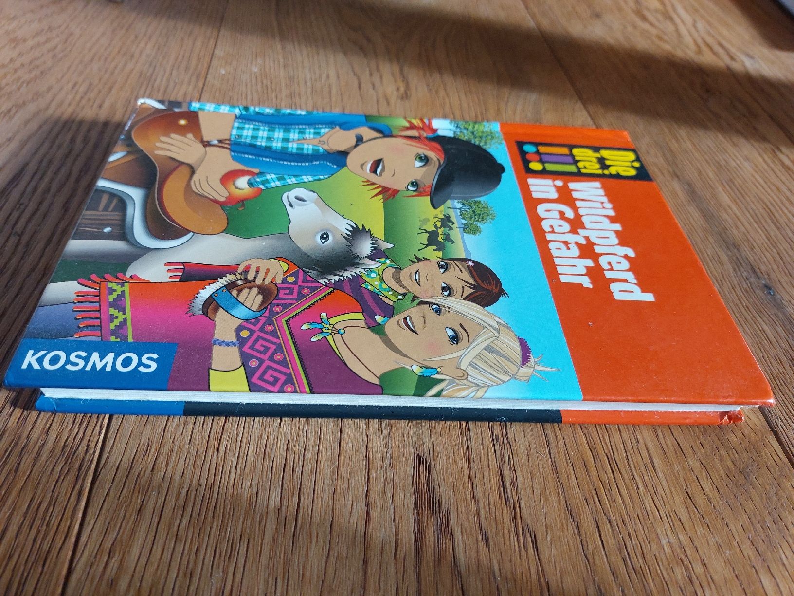 Libri: Die drei !!! - Wildpferd in Gefahr – Usato da Effretikon venduto da jea_yq2t 3
