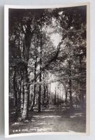 Camp de Vaumarcus
