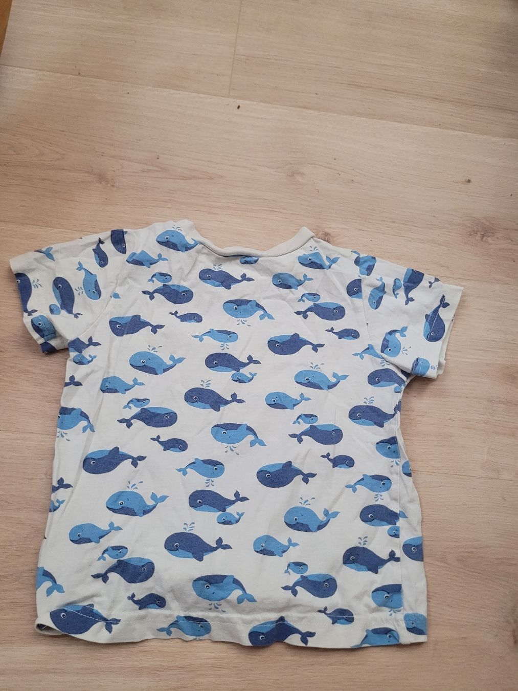 Hemden, T-Shirts & Polos: t-shirt Gr. 98/104 – Gebraucht aus Lupsingen von sta_wgg5 3
