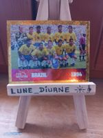 Carte FIFA Museum Brésil 1994 football FWC 15