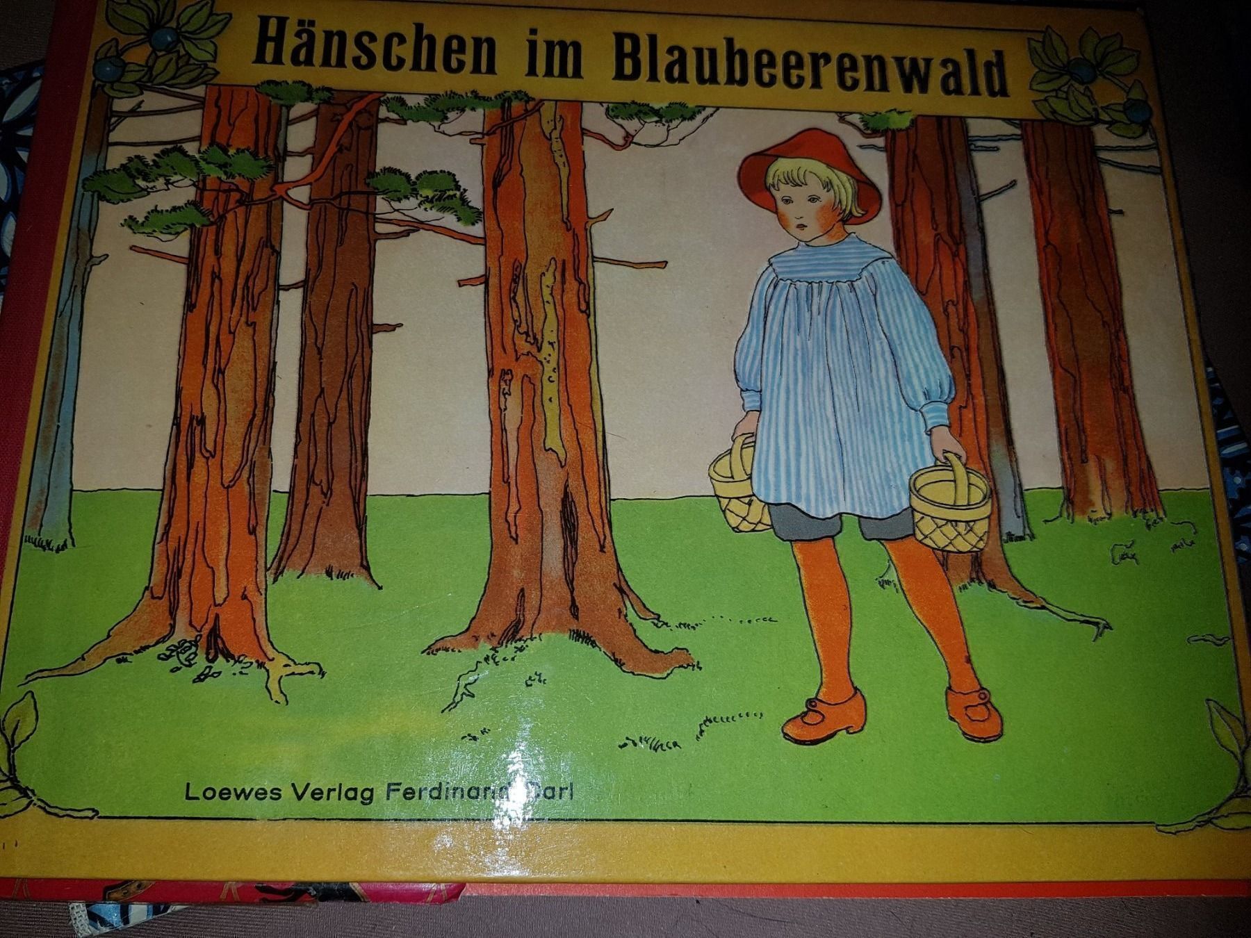 Libri: Buch Hänschen im Blaubeerenwald B4 – Usato da Schwarzenburg venduto da flamingo1970