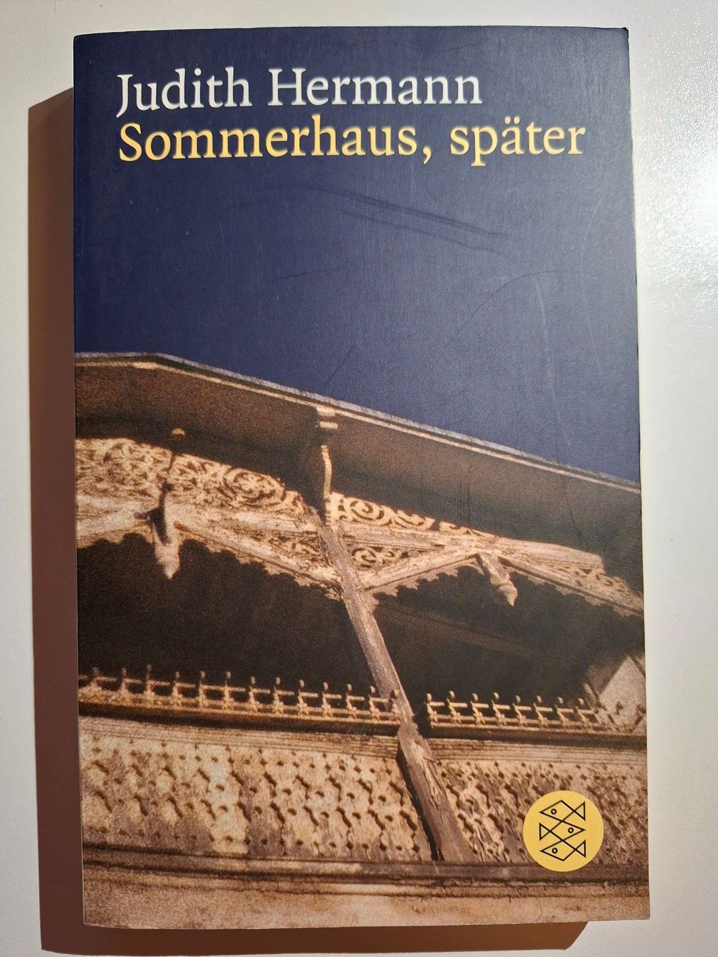 Libri: Judith Hermann: Sommerhaus, später – Usato da Dietikon venduto da Buchantiqdietikon