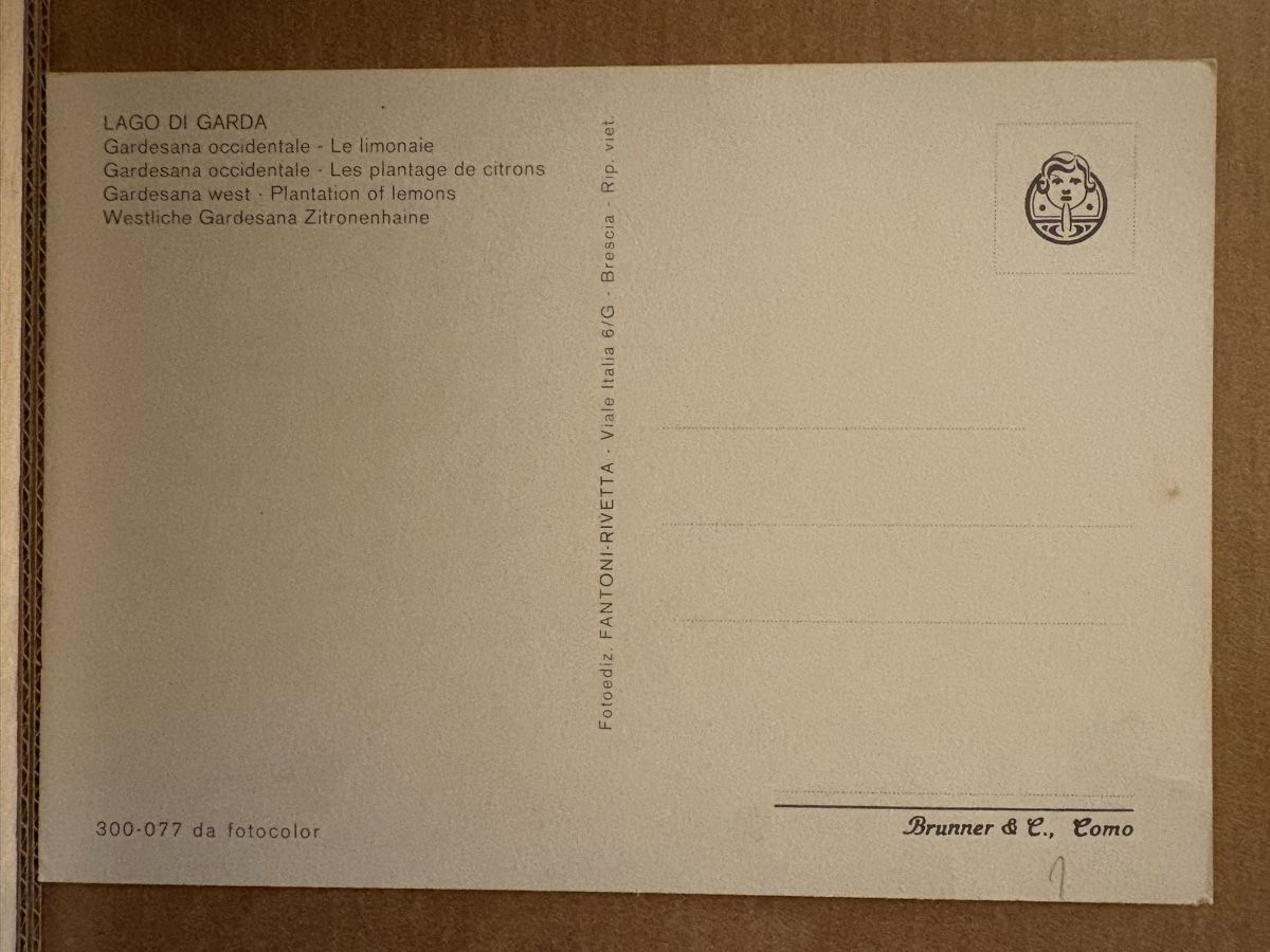 Cartoline postali: Ak Lago di Garda / Gardesana – Usato da Rümlang venduto da Kartenpost1 1