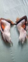 Fantasie Ohren Fuchs Neu