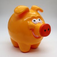 Sparschwein "Miggy" Kult!