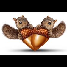 Profile image of Schtupsi