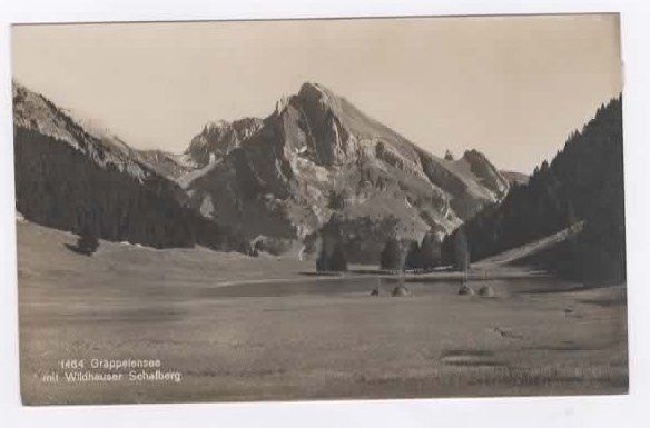 Ansichtskarten: Gräppelensee mit Wildhauser Schafberg  (K – Gebraucht aus Ruggell von Masescha