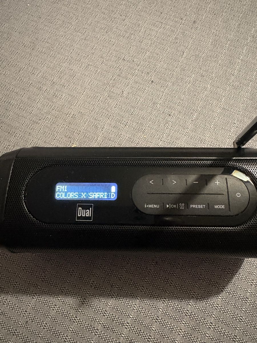 Dual Radios: Dual DAB Radio – Gebraucht aus Hinterforst von Chrigel1234 1