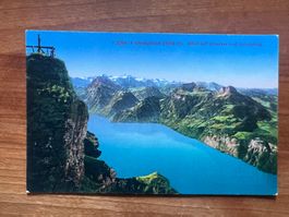 AK  ca1920  Urnersee  ungelaufen   (G1872)