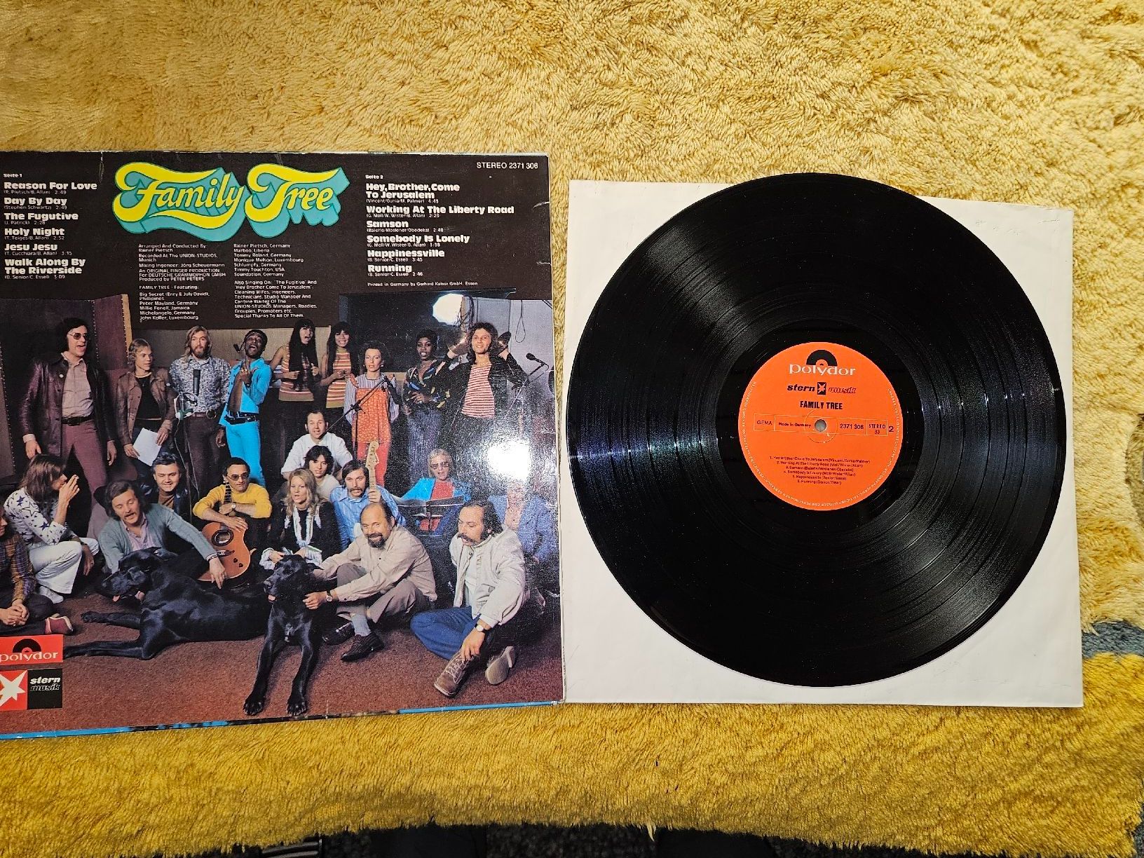Dischi in vinile: Family Tree Schallplatte Lp – Nuovo (secondo la descrizione) da Lyss venduto da Alexine 1