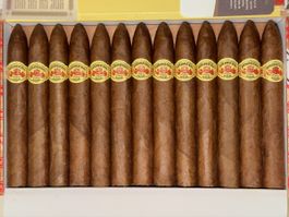 Diplomaticos No. 2 / Zigarren