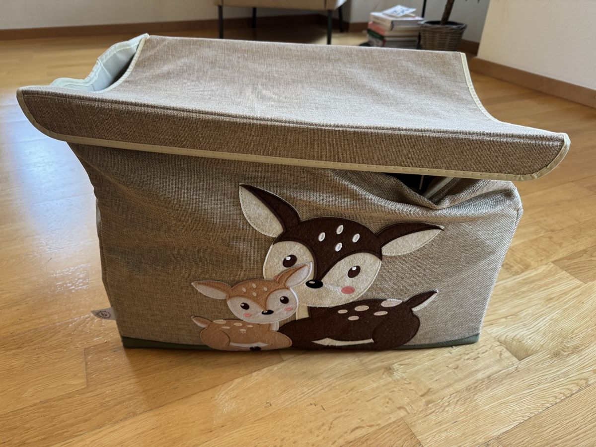 Autres articles pour la maison: Spielwarenbox – D'occasion à Oberrieden par Olivianeu