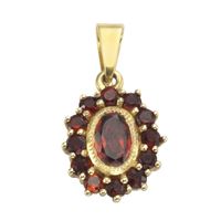 Kettenanhänger Gelbgold mit Granat und Kette s925
