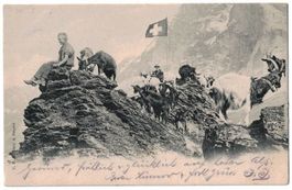 Ziegenhirt auf Alp, Schweizerfahne, Phototypie gelaufen 1903