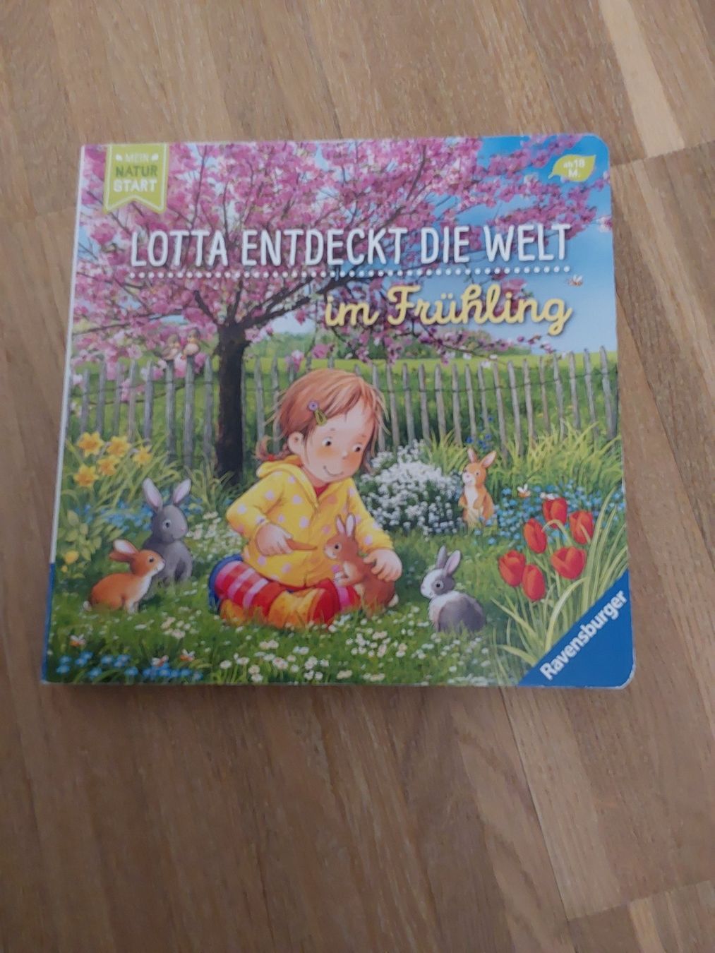 Libri: Kinder Bücher – Usato da Wallisellen venduto da Wallisellen77 5