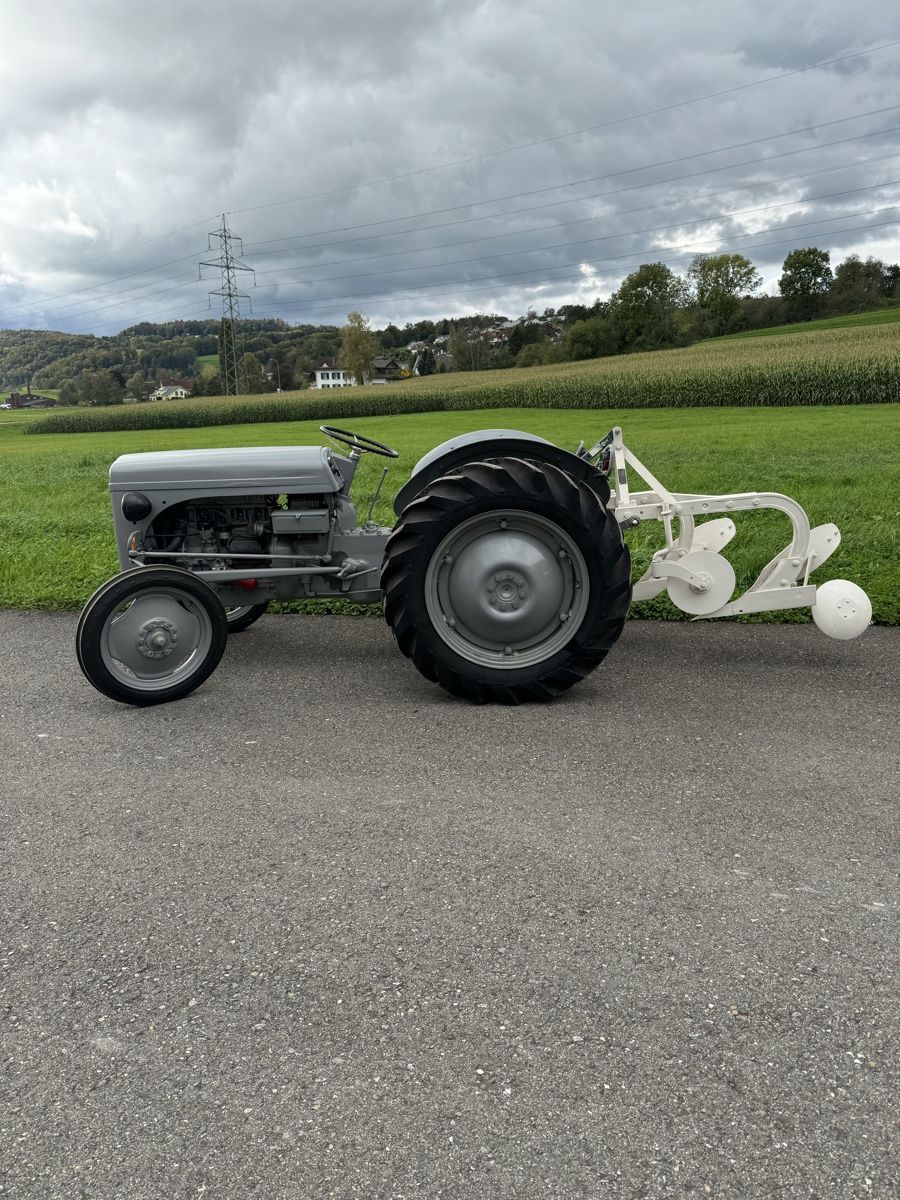 Massey Ferguson Trattori: Ferguson TED 20 B-Pflug – Usato da Zezikon venduto da fridalift