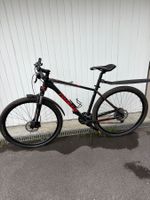 Roleto Mountainbike 19“
