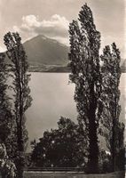 Thunersee BE Niesen See und Berg Panorama G