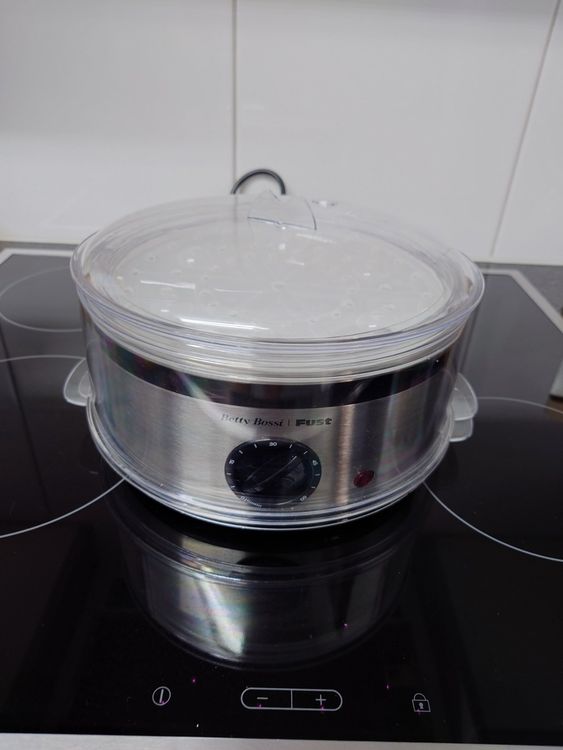 Mini Steamer (Gebraucht) in Ringgenberg BE für CHF 10 – mit Lieferung ...
