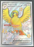 Pidgeot ex 221/091 Englisch Pokémon