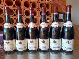 6 Fl. Crozes-Hermitage, Dom. Roure, Paul Jaboulet Aîné 1998