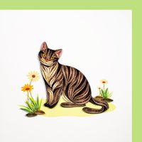 Katze 2D Karte