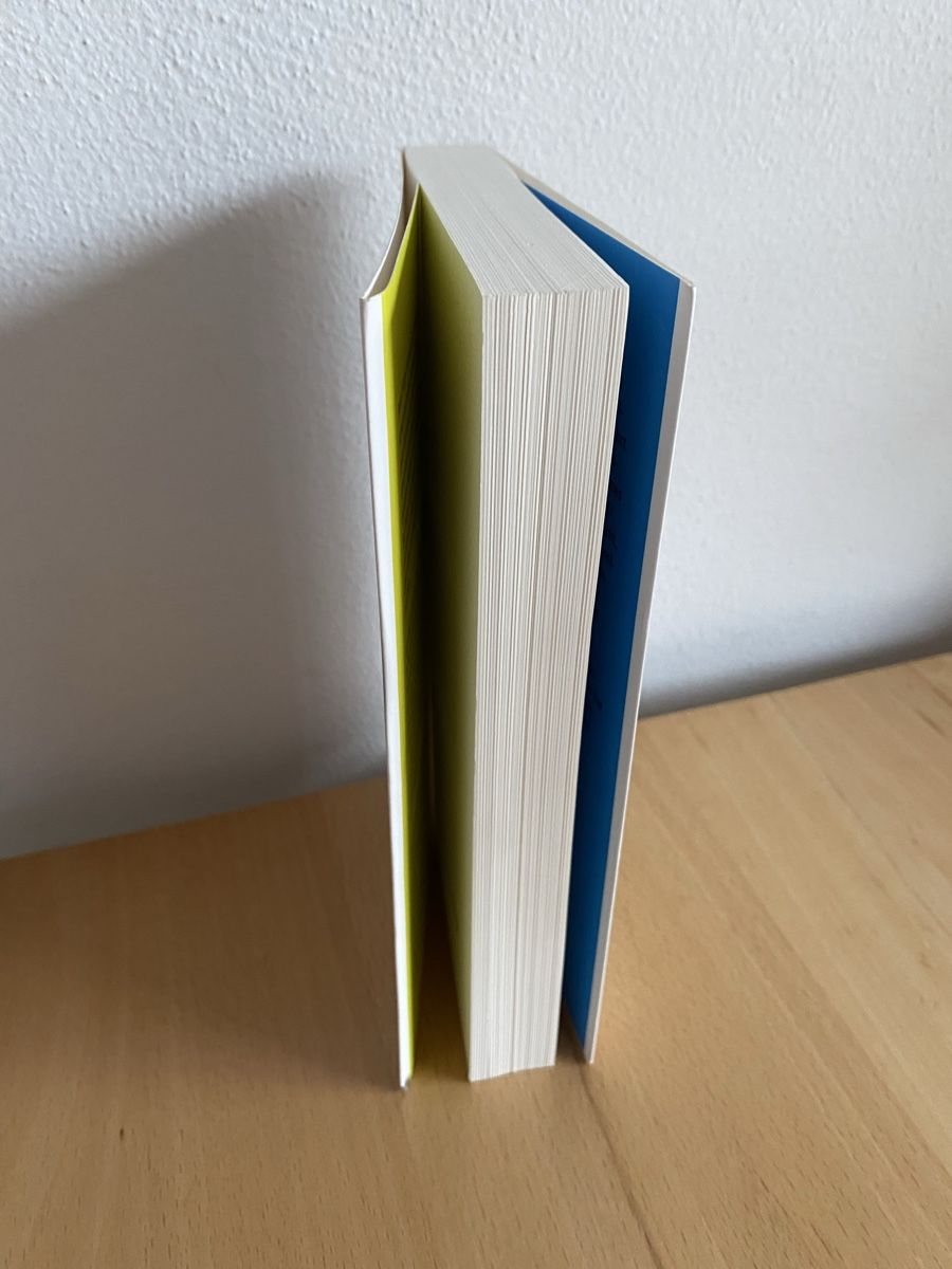 Libri: Leben retten - Peter Singer – Usato da Schwarzenburg venduto da Michellu 3