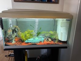 Vendo acquario ottime condizioni 110 litri 