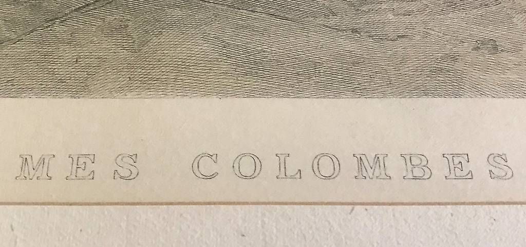 Foto & Immagini: Bild "Mes Colombes" - Goldrahmen – Usato da Solothurn venduto da JudithH02 3