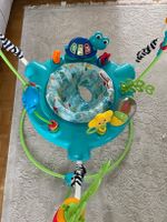 Baby Einstein Jumperoo Meeresfreunde gebrauchter Zustand