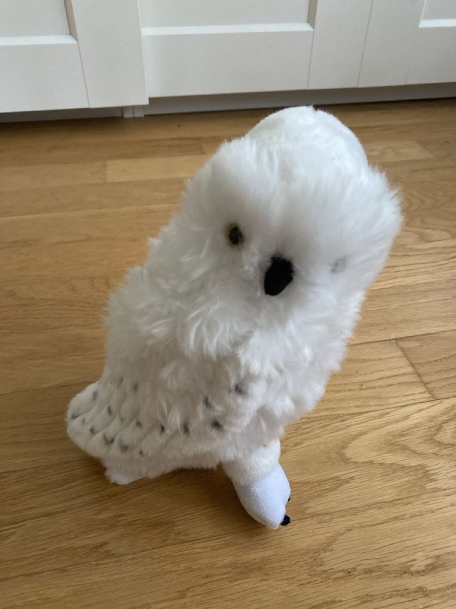 Giocattoli: Hedwig, Harry Potter Schnee Eule, wie neu – Nuovo (secondo la descrizione) da Uetikon am See venduto da ann_b8l9