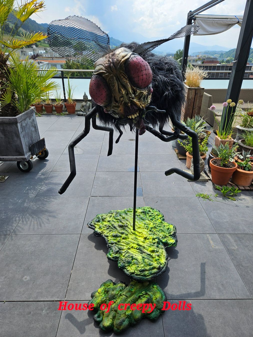 Toutes les décorations: HALLOWEEN 🎃/ HORROR RIESEN FLIEGE – Neuf avec emballage d'origine à Root par LifestyleAccessoires 6