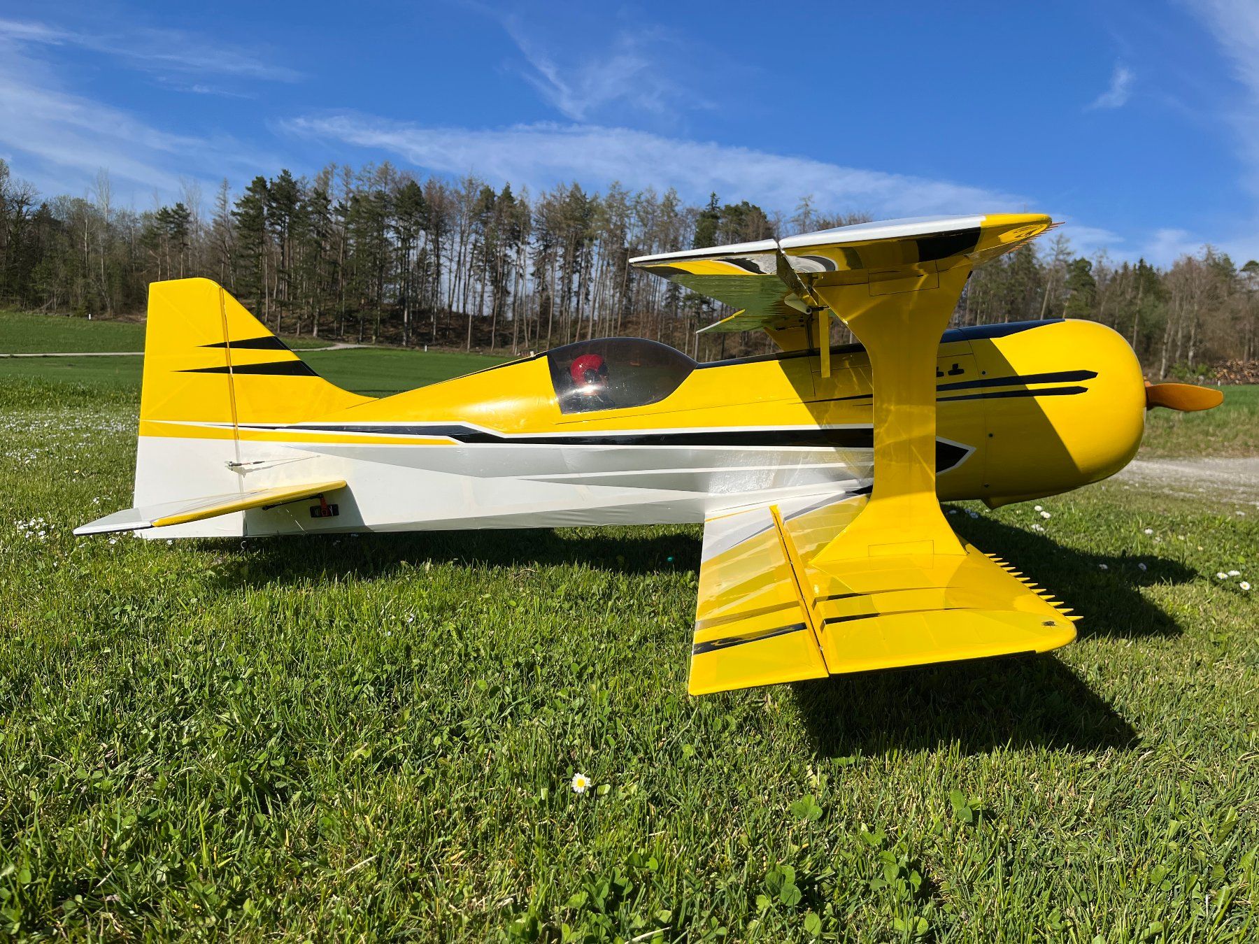 Modellismo RC: Mamba 70cc von Flex Innovations 1961mm – Usato da Zollikerberg venduto da Cmmoser