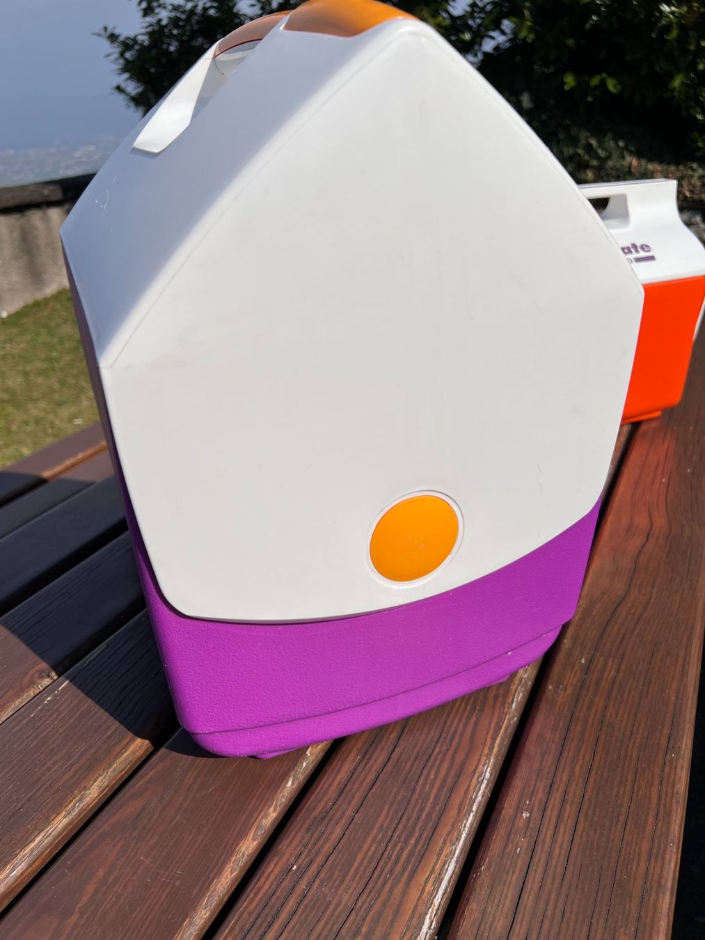 Frigoriferi & Refrigeratori: Vintage Playmate Elite by Igloo I Kühlbox – Usato da Walzenhausen venduto da stilvollwohnen 5