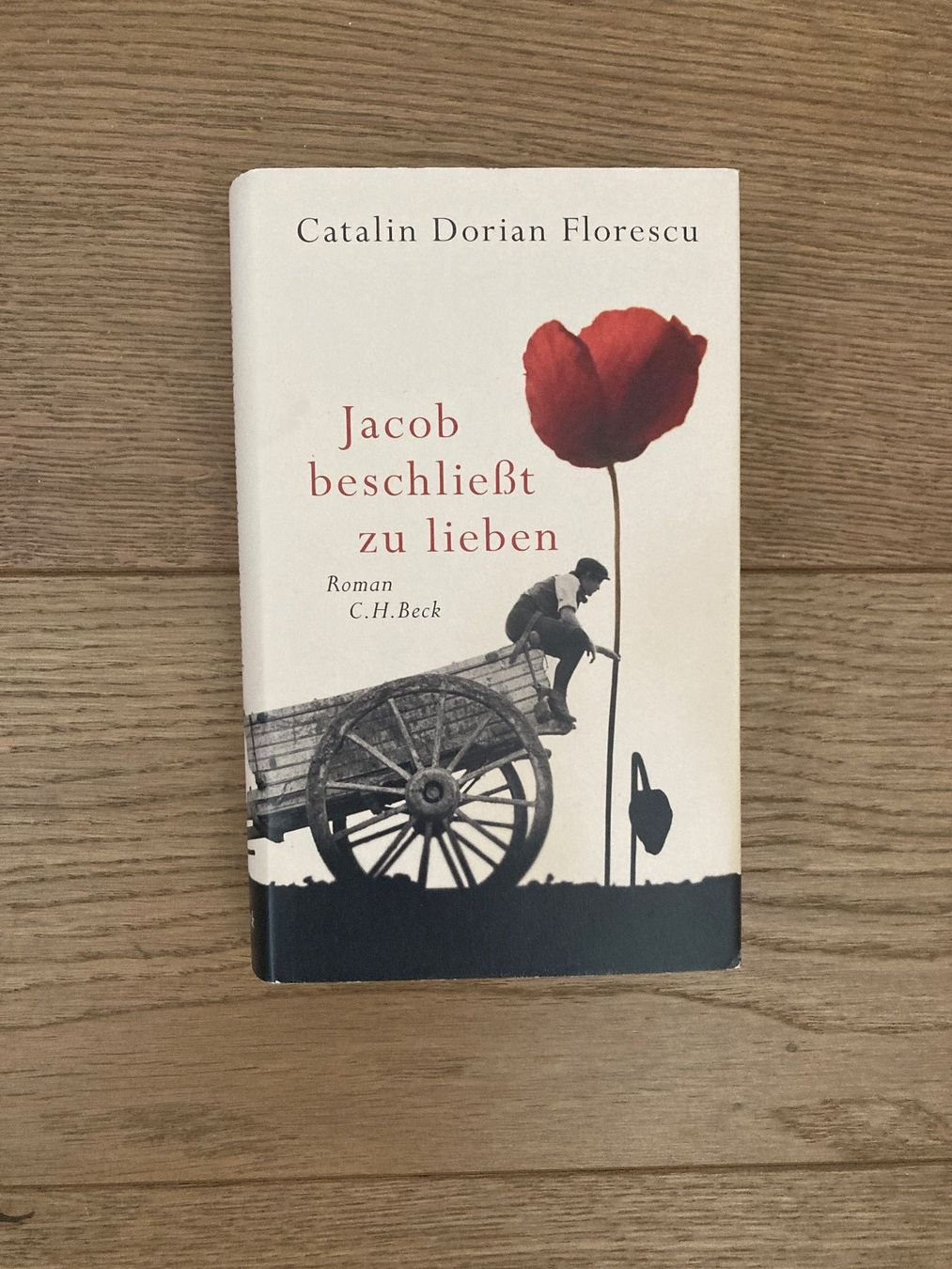 Libri: Jacob beschliesst zu lieben (Catalin Dorian Florescu) – Nuovo (secondo la descrizione) da Zollikofen venduto da schildi13