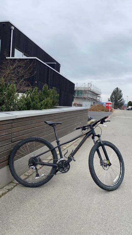 specialized pitch hardtail