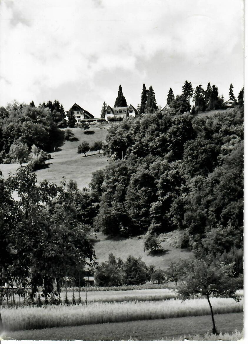 Ansichtskarten: Bienenberg - Liestal – Gebraucht aus Hochdorf von Ziegel-16