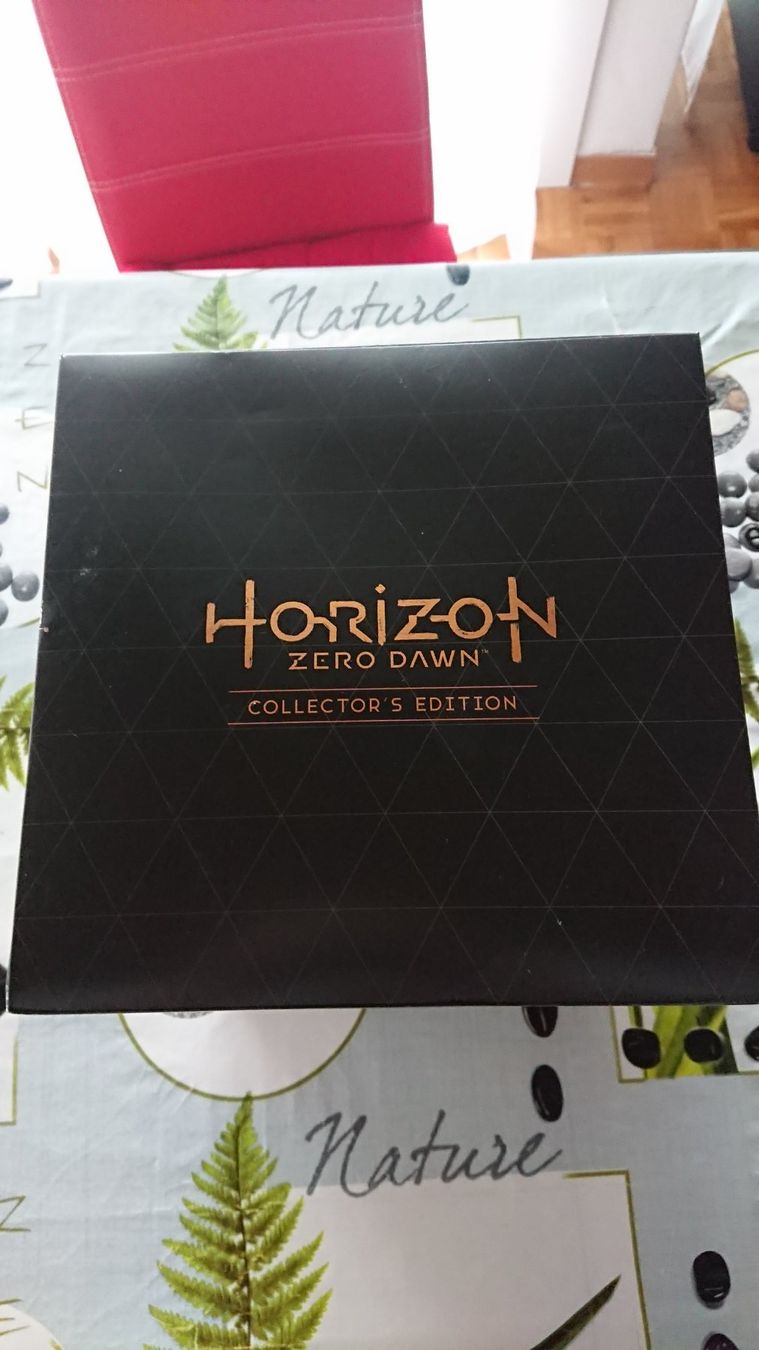 Sony Jeux: Horizon Zero Dawn Collector Ps4 – Neuf avec emballage d'origine à Cugy VD par Twinsen93 1