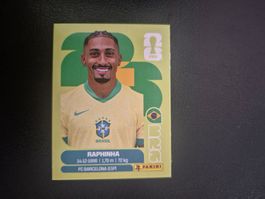Panini WM 26 BRA 19