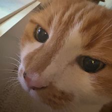 Profile image of man_c6ll