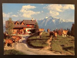 Flims Restaurant Runcahöhe