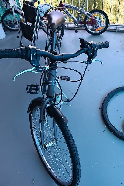 Biciclette: Frauenvelo – Usato da Zürich venduto da gunathas1974 1