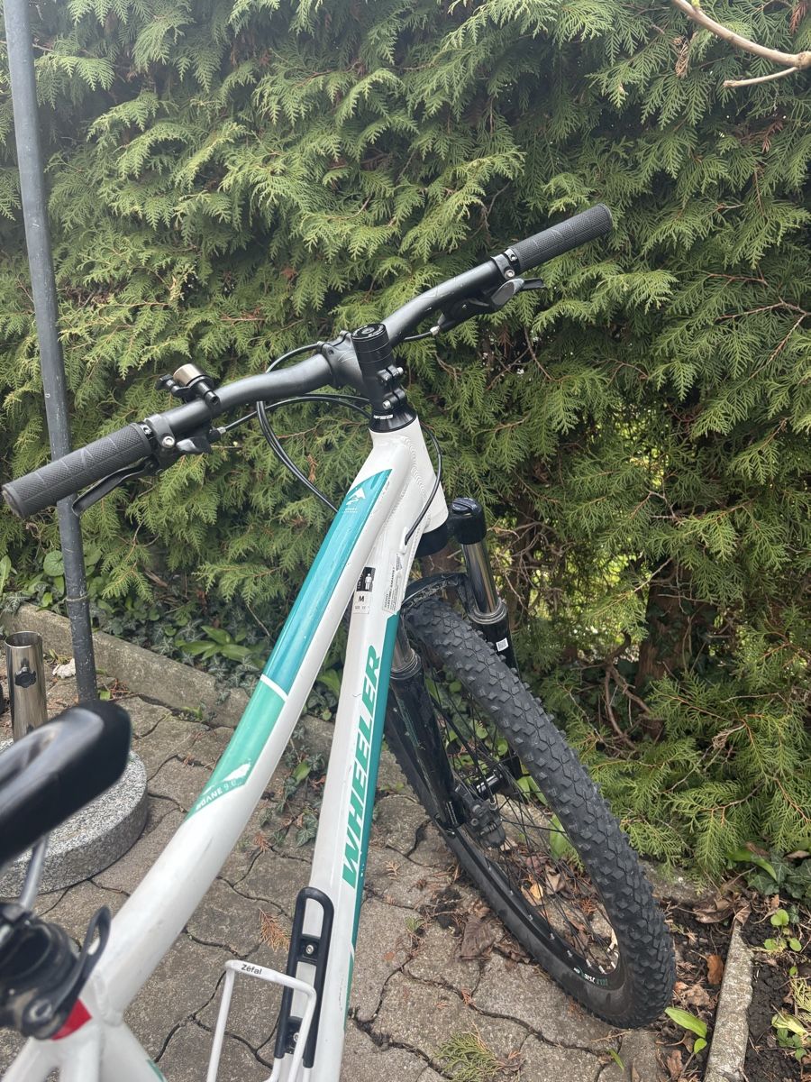 Wheeler Biciclette: Wheeler Mountainbike – Usato da wädenswil venduto da vandalos 1