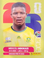 Panini FIFA World Cup RSA 6