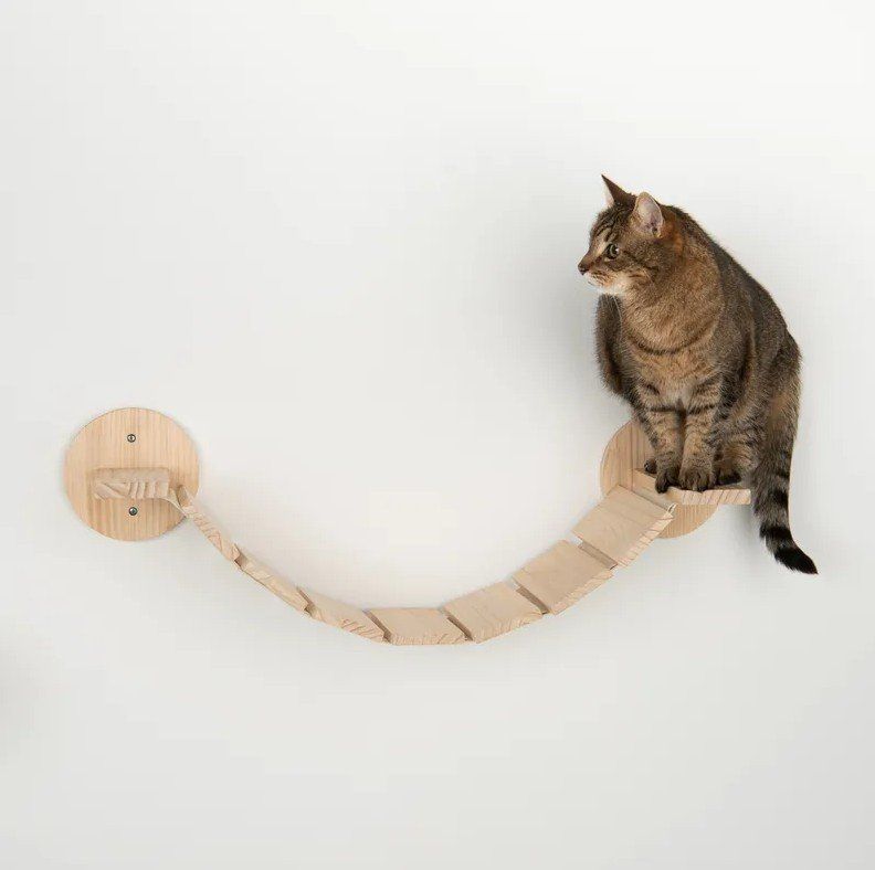 Tiragraffi: Katzen Hängebrücke – Nuovo (secondo la descrizione) da Zürich venduto da zie_ngg8